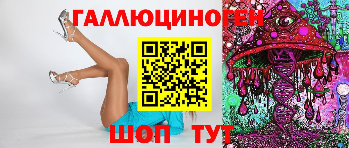 Псилоцибиновые грибы Psilocybine cubensis Кандалакша