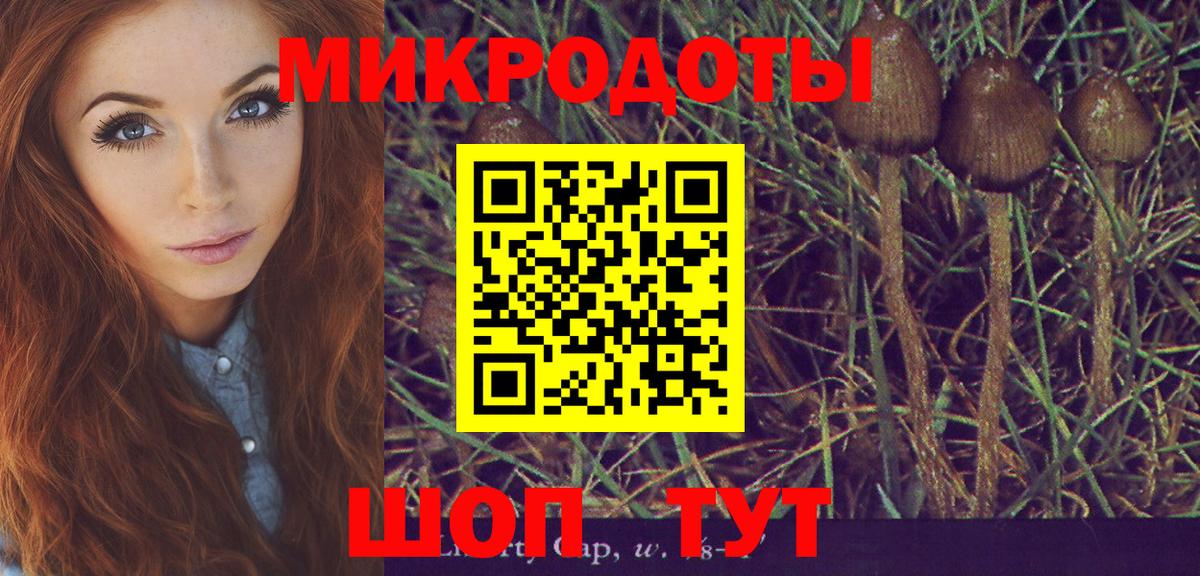 Псилоцибиновые грибы прущие грибы  Вход с VPN  Кандалакша 